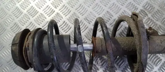 Front coil spring