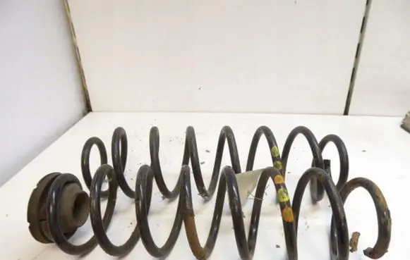 Skoda Fabia Mk1 (6Y) Rear coil spring