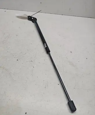 Tailgate/trunk strut/damper