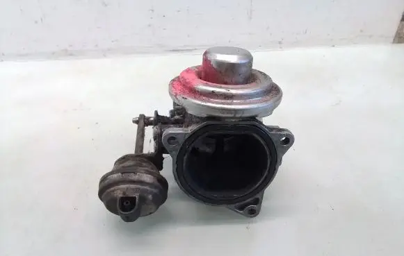 Volkswagen Sharan EGR valve 038131501J
