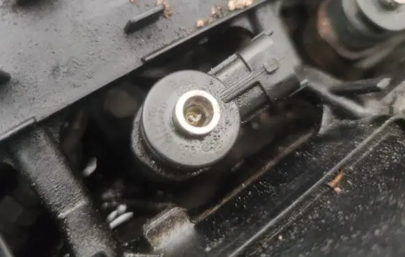 Peugeot 206 Fuel injector 0445110075 9641496180