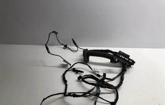 BMW 3 E90 E91 Front door wiring loom 6938221