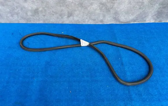 Opel Insignia A Front door rubber seal 13454651
