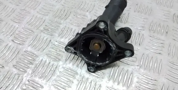 Thermostat/thermostat housing