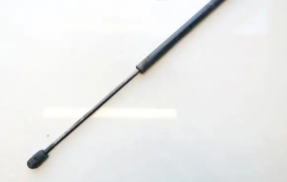 Tailgate/trunk strut/damper
