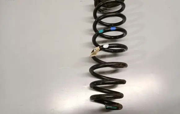 KIA Niro Rear coil spring 55350G5150