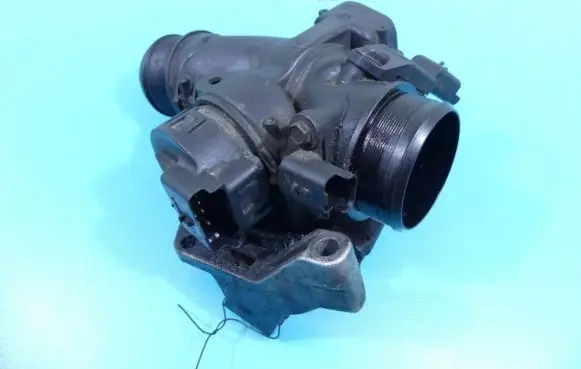 Throttle body valve