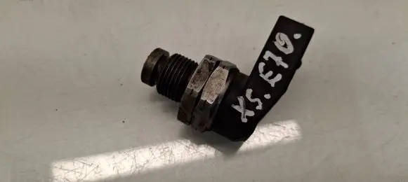 BMW X5 E70 Fuel pressure sensor 0281002497