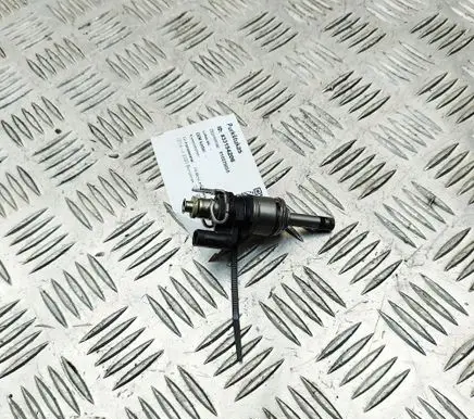 Porsche Macan (95B) Fuel injector 94611012832