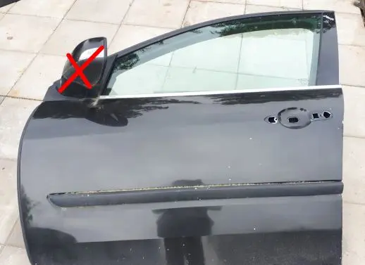 Renault Laguna III Front door 801010025R