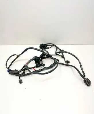 Other wiring loom