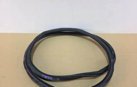 BMW X6 G06 Front door rubber seal 