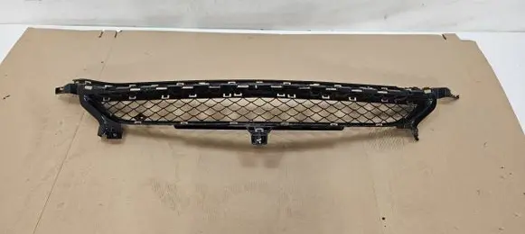 Mercedes-Benz AMG GT R190 C190 Front bumper lower grill A1908850254