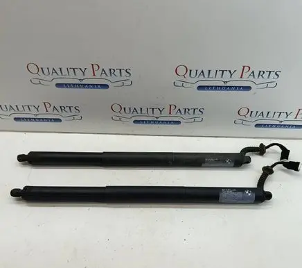 BMW X1 F48 F49 Tailgate/trunk strut/damper 7350837