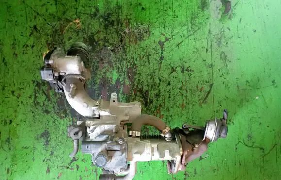 Renault Clio III EGR valve