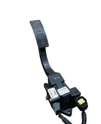 Hyundai Terracan Accelerator throttle pedal 10290006 01550814 YJ0JHL078
