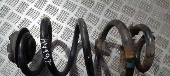 Nissan Qashqai Rear coil spring