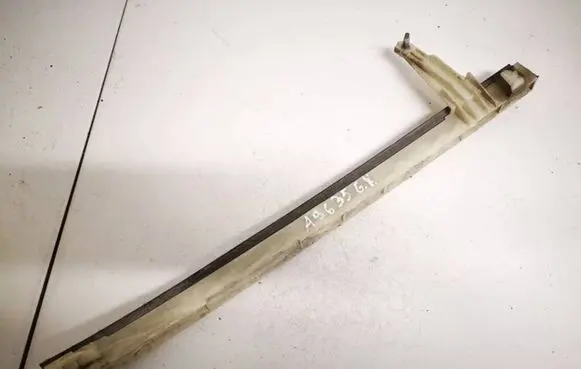 Rear door glass trim molding