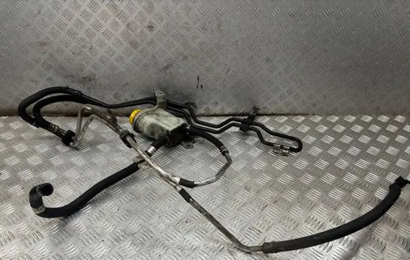 Dacia Duster II Power steering hose/pipe/line 