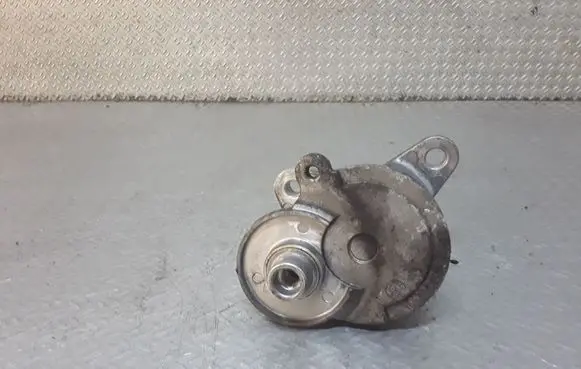 Dodge Caliber Generator/alternator belt tensioner 3905305C01