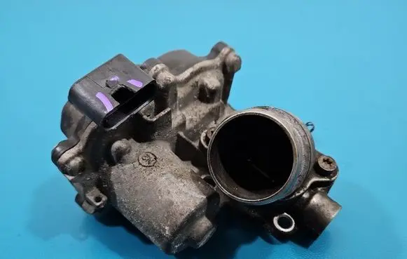 Throttle body valve