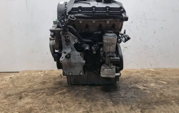 Volkswagen Golf V Engine BXE