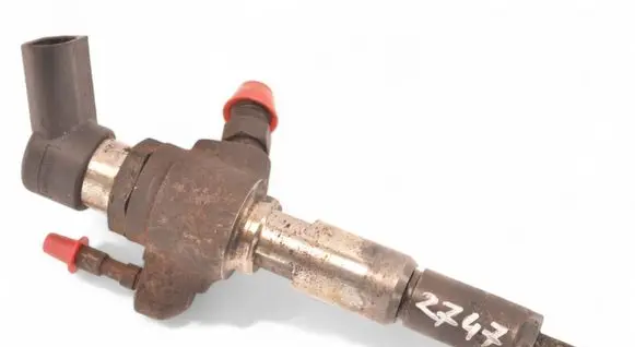 Ford Transit - Tourneo Connect Fuel injector 9802448680