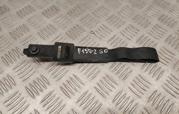 Ford F150 Other interior part FL3B18613D74A