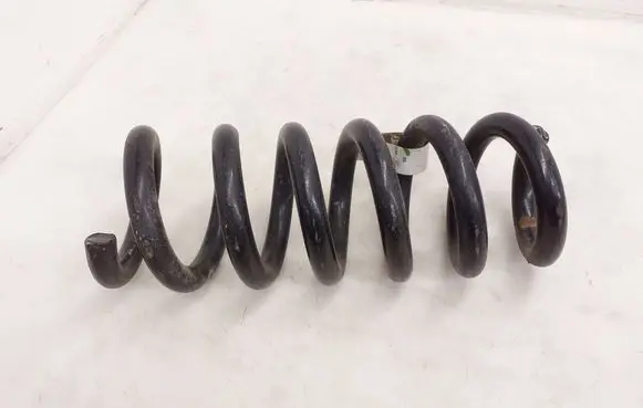 Ford Mustang Mach-E Rear coil spring LJ9C5560AND