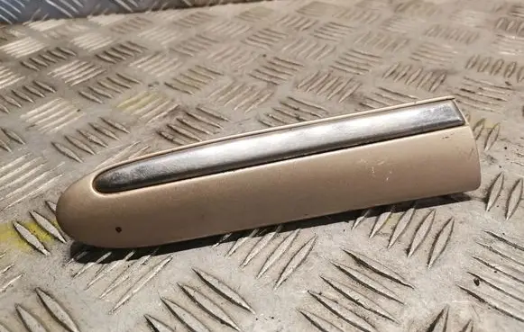 Mercedes-Benz S W220 Fender grill 2206900162