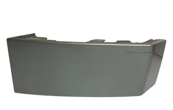 Rear/tail light trim molding