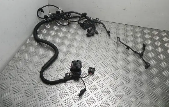Engine installation wiring loom