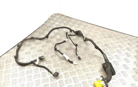 Citroen C4 III e-C4 Rear door wiring loom 9840756780