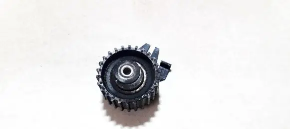Fiat Bravo - Brava Generator/alternator belt tensioner 7778565