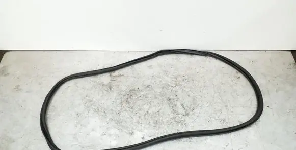 Skoda Rapid (NH) Front door rubber seal 5JA867366D