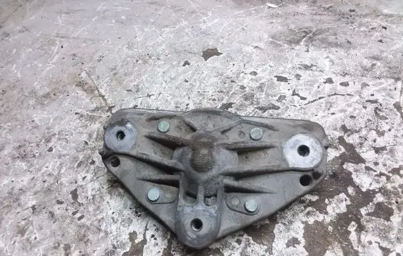 Coil spring mount