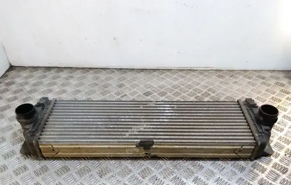 Volkswagen Crafter Intercooler radiator A9065010201 2E0145804A