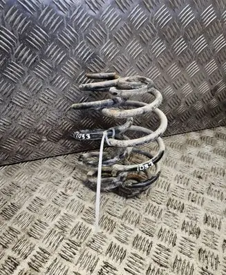 Front coil spring