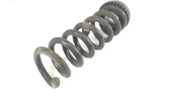 Rear coil spring