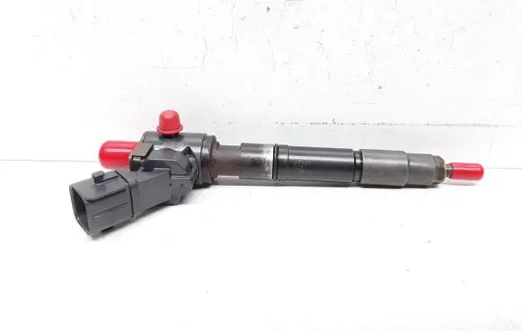 Volvo V60 Fuel injector 31405404