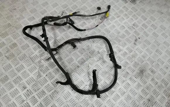 Peugeot RCZ Wires (generator/alternator) 9689026080