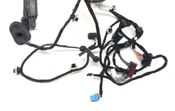 Jaguar F-Pace Rear door wiring loom 