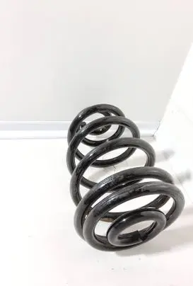 Audi A6 S6 C5 4B Rear coil spring