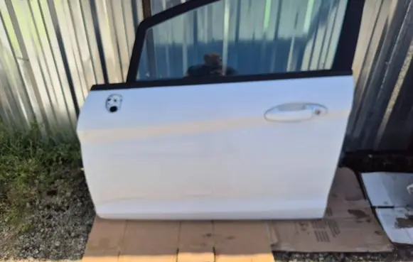 Ford Fiesta Front door 