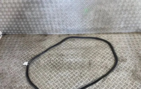 Volkswagen Tiguan Rubber seal front door (on door) 5NA867912B