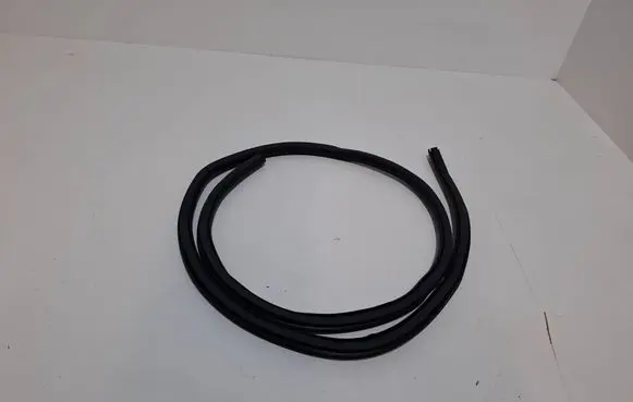Ford Mustang Mach-E Rubber seal rear door LJ8BR20708AD LJ8BR253A10AD