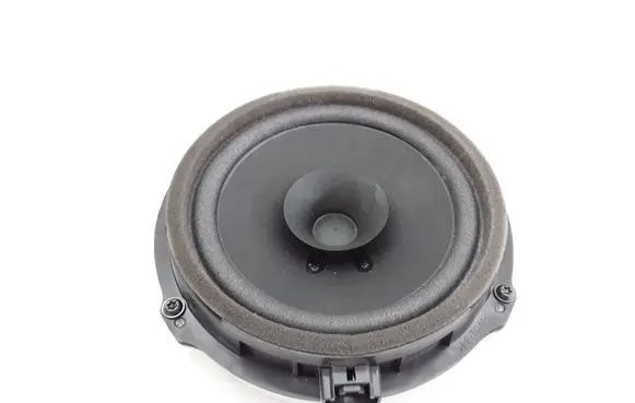 Rear door speaker
