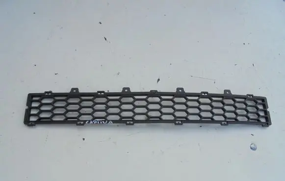 Front bumper lower grill