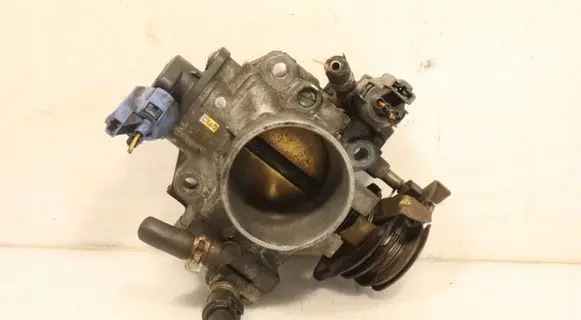 Throttle body valve