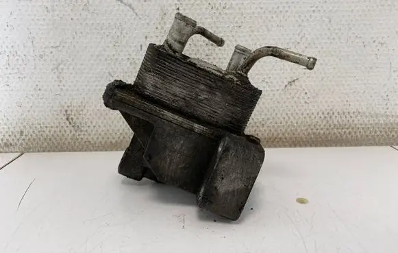Nissan Murano Z50 Engine oil radiator 